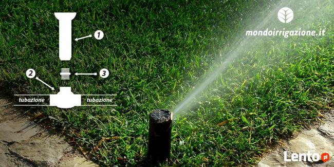 automatyczne nawadnianie roślin