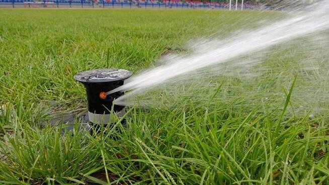 wertykulacja trawników poznań