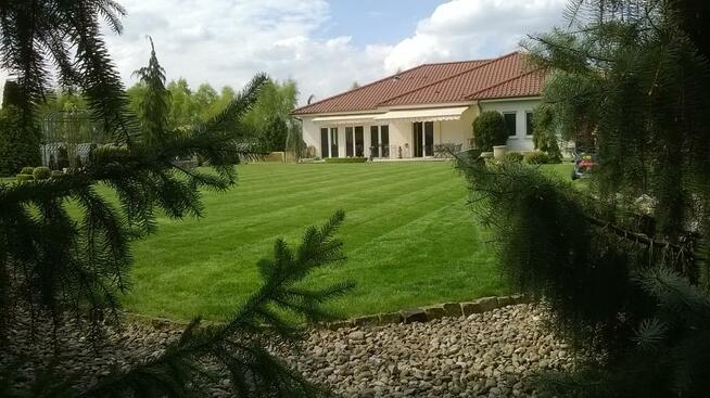 wertykulacja trawników poznań