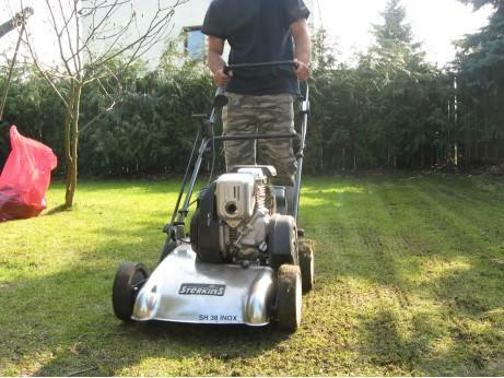 wertykulacja trawników poznań