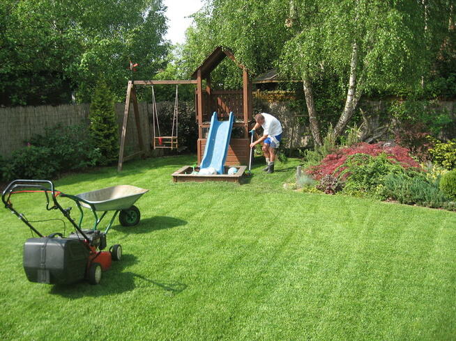 wertykulacja trawników poznań