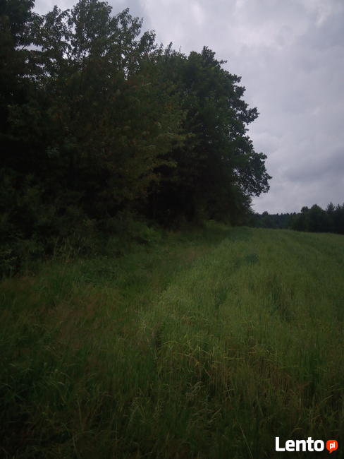 Piękna działka w pobliżu Arłamowa.