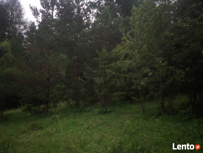Piękna działka w pobliżu Arłamowa.