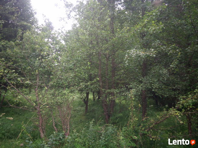 Piękna działka w pobliżu Arłamowa.