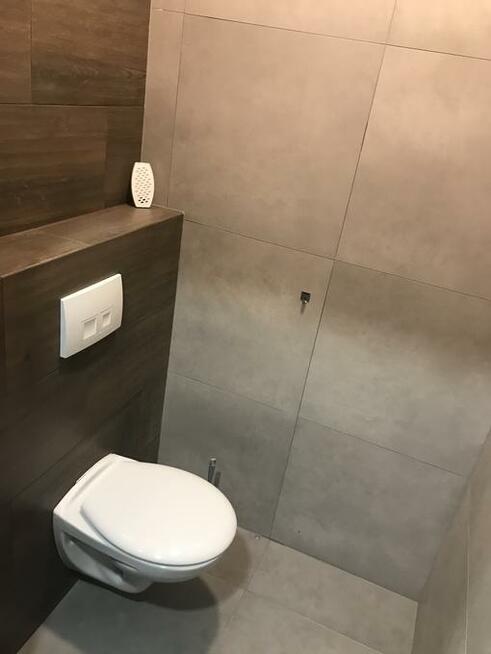 Lokal biurowy do wynajęcia. Kraków ul. Przykopy 5.