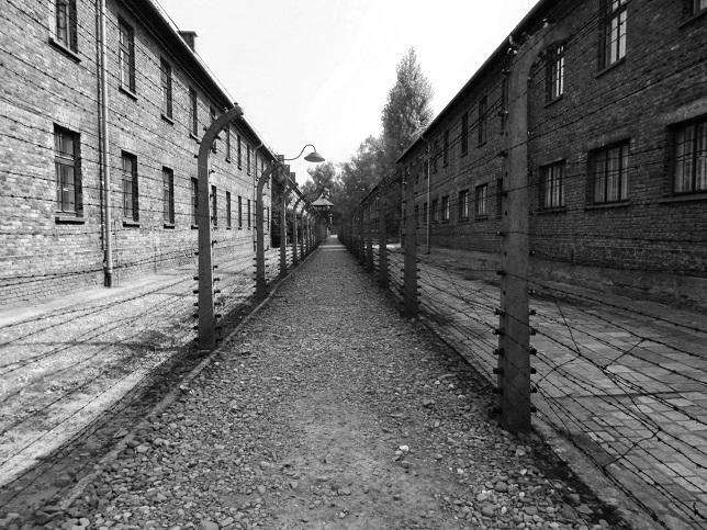 Zwiedzanie z przewodnikiem Auschwitz-Birkenau, wycieczka