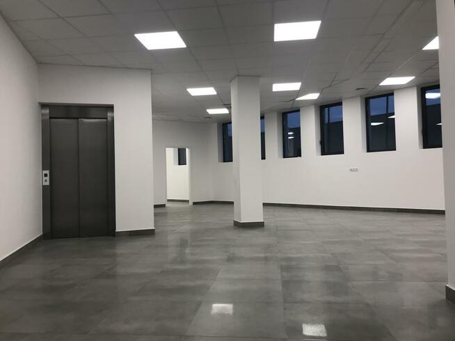 Lokal biurowy do wynajęcia. Kraków ul. Przykopy 5.