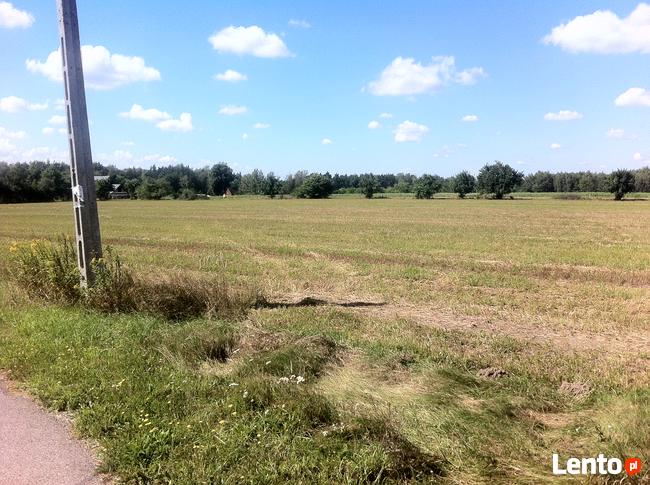 Trzcianka w gm. Wilga. Działka Budowlana.