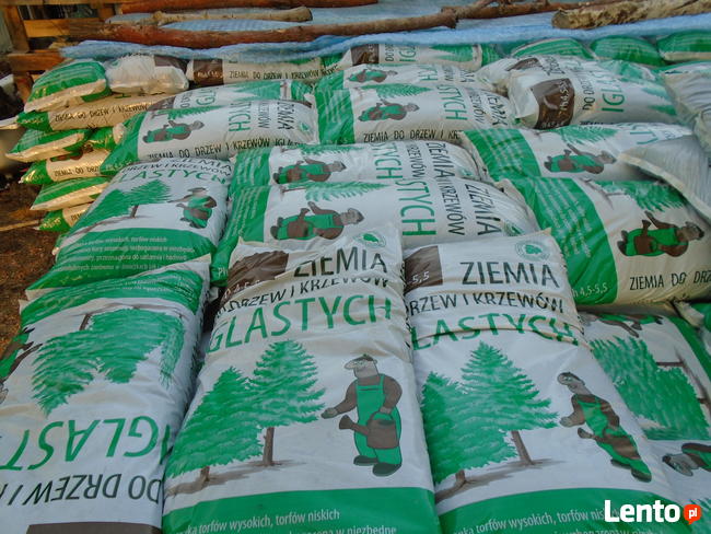 Ziemia i Kora do iglaków uprawa krzewów