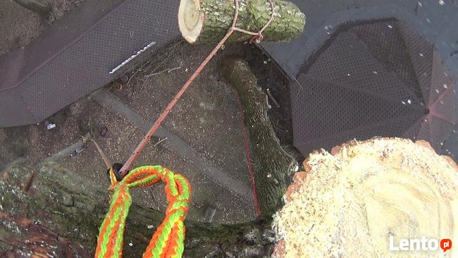 Wycinka drzew. Wycinka drzew trudnych. Pielęgnacja. Profesjo