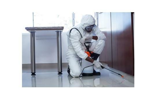 DDD KAJA DEZYNSEKCJA DEZYNFEKCJA DERATYZACJA HACCP