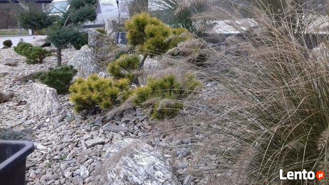 Trawniki od podstaw, nasadzenia Roślin SYSTEMY NAWADNIANIA