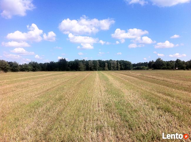 Trzcianka w gm. Wilga. Działka Budowlana.