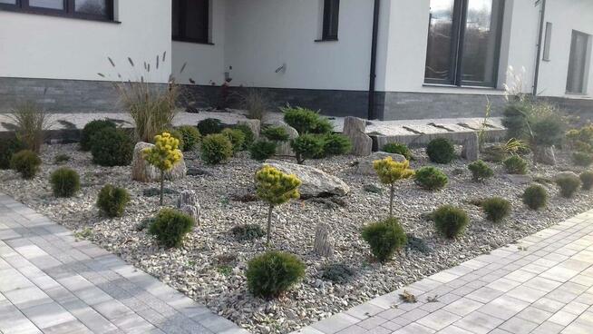 Trawniki od podstaw, nasadzenia Roślin SYSTEMY NAWADNIANIA