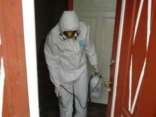 DDD KAJA DEZYNSEKCJA DEZYNFEKCJA DERATYZACJA HACCP