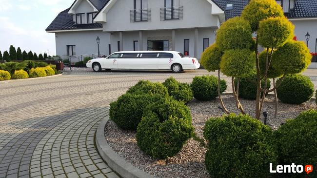 LIMUZYNA Ślub Wesele Panieński Kawalerski Dziecka