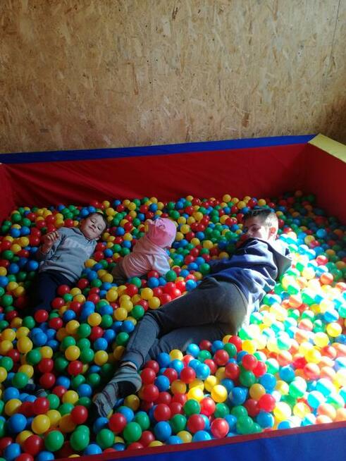 Domki i pokoje studio nad jeziorem w Borach Tucholskich -Cek