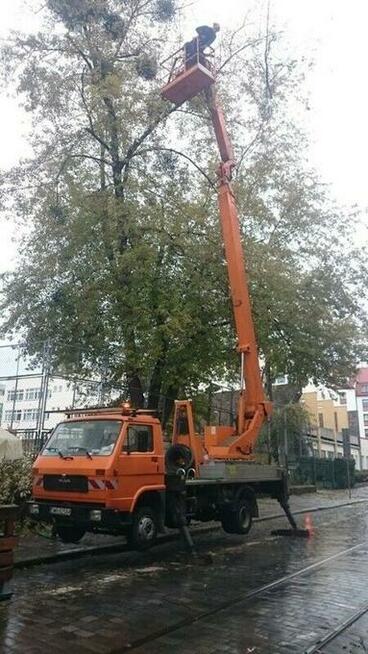 WYCINKA/PIELEGNACJA DRZEW WROCŁAW