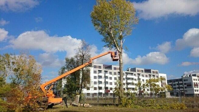 WYCINKA/PIELEGNACJA DRZEW WROCŁAW