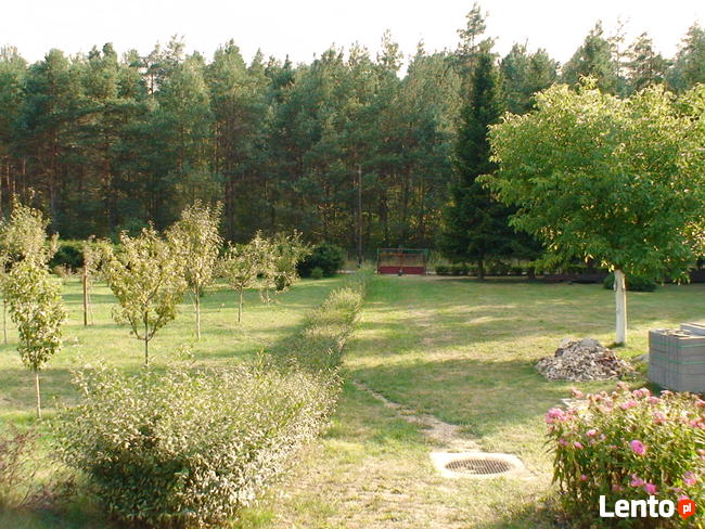 Domek letniskowy Jura Krakowsko-Częstochowska Kocikowa