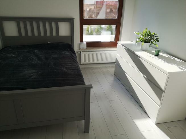 Mieszkanie do wynajęcia