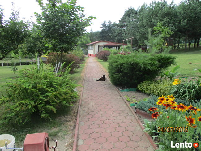 Domek letniskowy Jura Krakowsko-Częstochowska Kocikowa