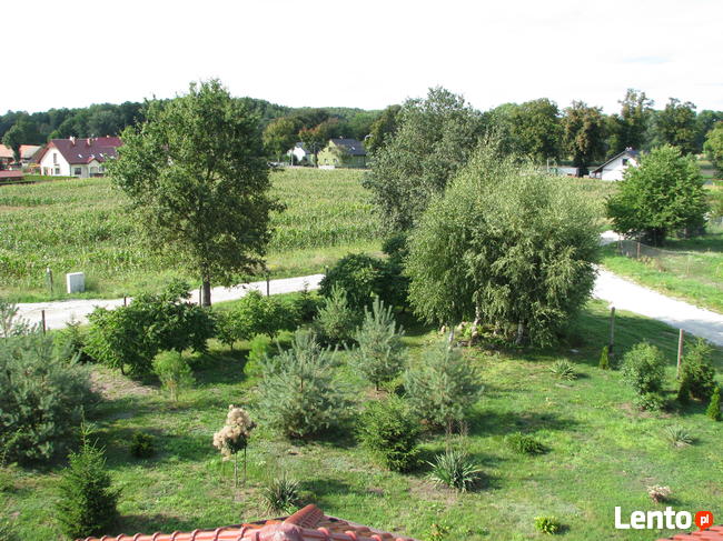 Sprzedam działki budowlane