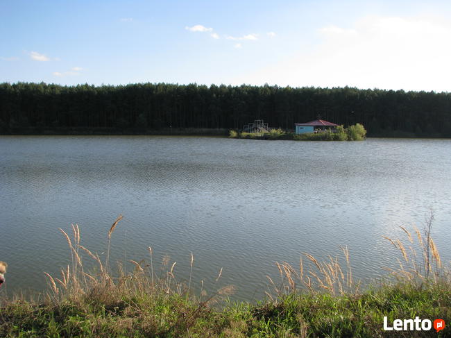 Działki budowlane sprzedam