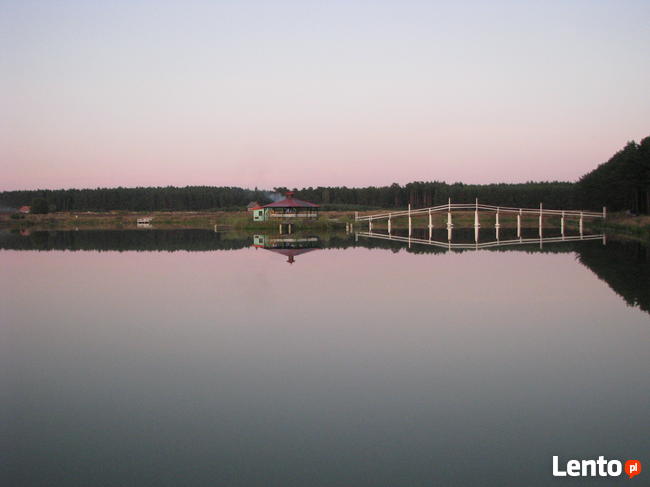 Sprzedam działki budowlane