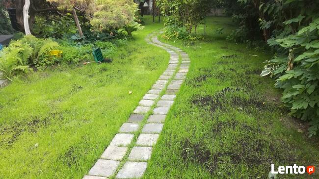 Zakładanie ODNAWIANIE ogrodu trawa z rolki.