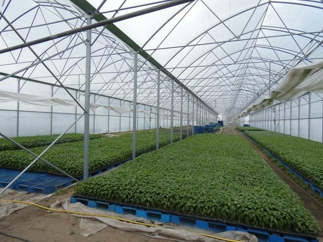 Wycena nieruchomości, operat szacunkowy do banku, sprzedaży