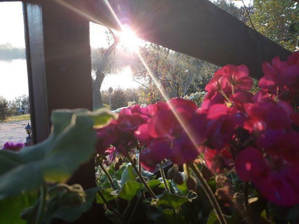 Zakątek nad Jeziorem Ełk