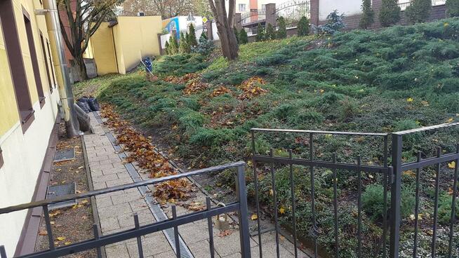 Wycinka i przycinka drzew i krzewów, koszenie, porządkowanie
