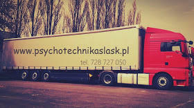 Psychoterapia, Badania psychotechniczne kierowców