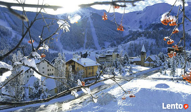 Studia, obozy językowe, kursy dla dorosłych - cały świat