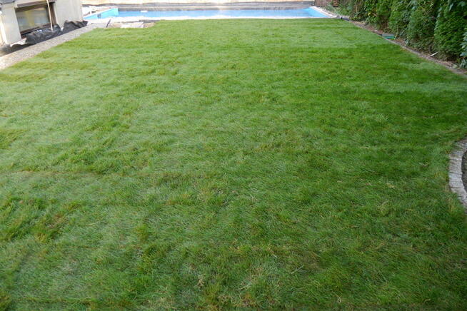 Koparka łańcuchowa, system nawadniania, podcinarka darni.