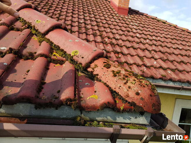 Alpin Service Mycie, malowanie dachów, elewacji, konserwacje