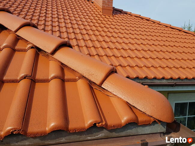 Alpin Service Mycie, malowanie dachów, elewacji, konserwacje