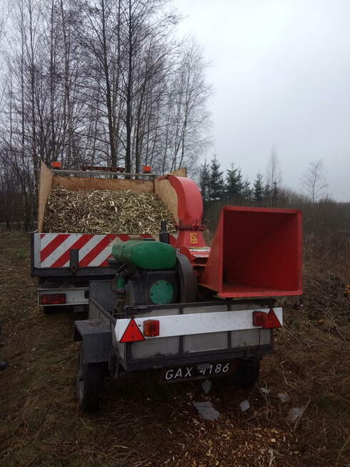 Pilarz-drwal, Arborysta wycinka i pielęgnacja drzew rębak