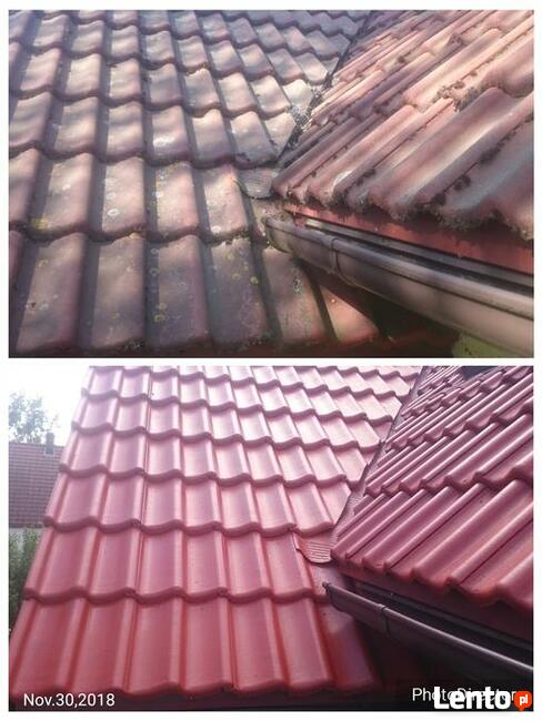 Alpin Service Mycie, malowanie dachów, elewacji, konserwacje