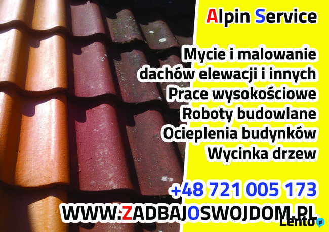 Alpin Service Mycie, malowanie dachów, elewacji, konserwacje