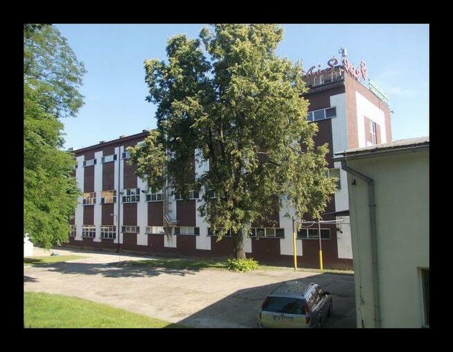 Nieruchomość zabudowana Zakładów Cukierniczych Miś.