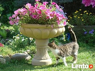 Donica z piaskowca - kamień naturalny