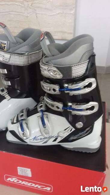 Buty narciarskie 24,5 Nordica