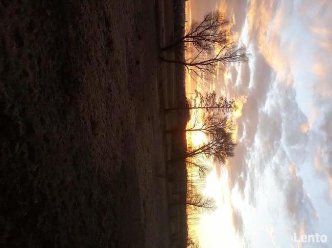 Simental Ranczo u Marcina