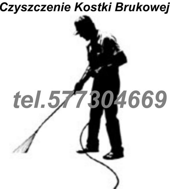 Minikoparki, Wynajem, Sochaczew, Podnośnik Koszowy,