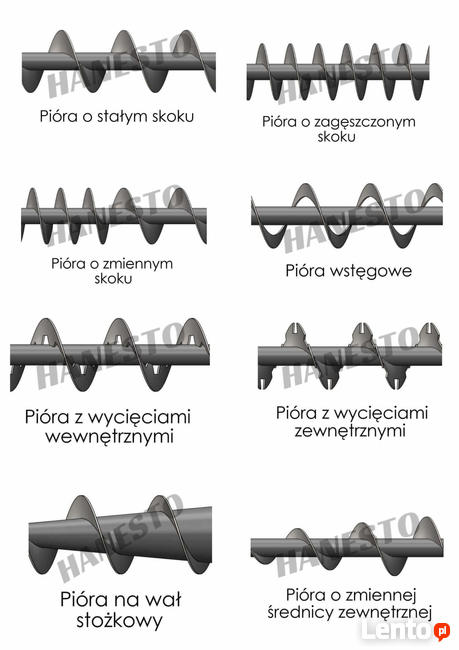 Pióra ślimaka, wały ślimakowe, zwoje żmijka wstęga spirala