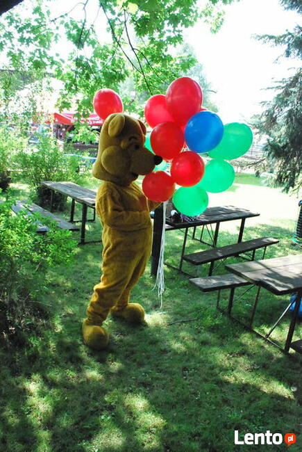 Balony z HELEM Konstancin - Jeziorna Dostawa do domu Hel