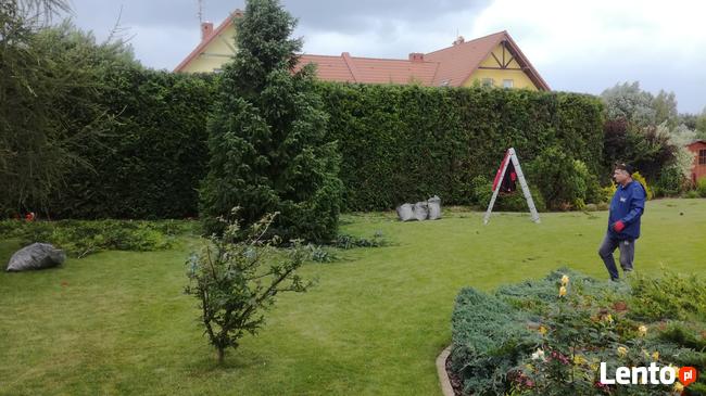 Usługi OGRODNICZE odnawianie ogrodu Nawodnienie