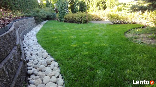 Usługi OGRODNICZE odnawianie ogrodu Nawodnienie